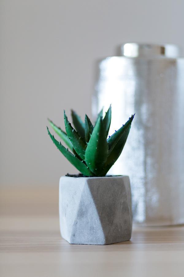 Urban Chic 1Bd Apartment In Hilton District By Upstreet Aten Exteriör bild